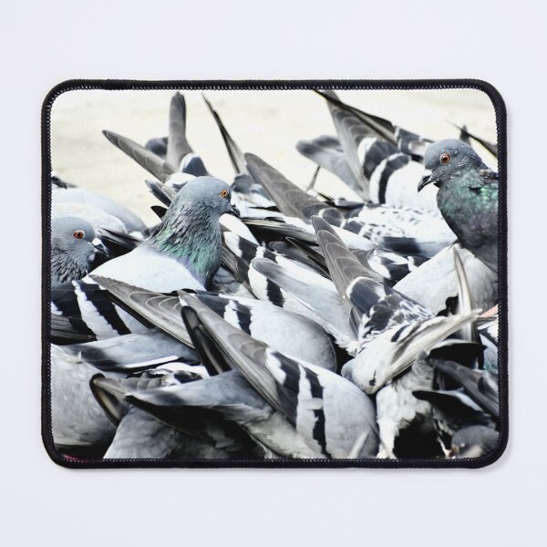 Item preview, A Group of Pigeons designed and sold by Rav33822.