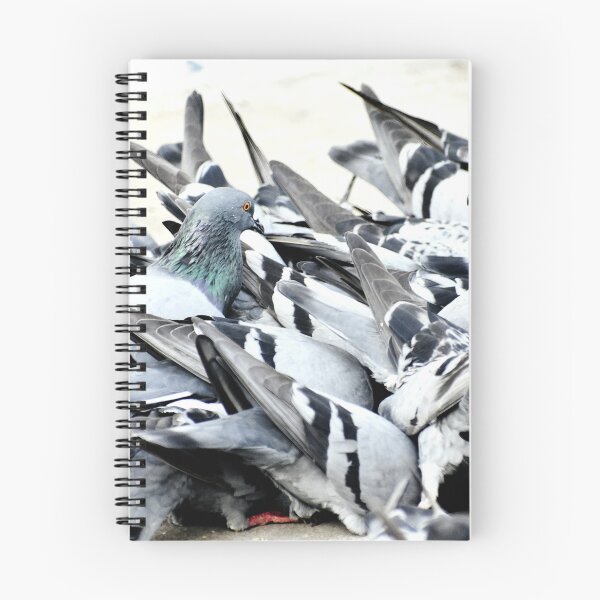 Item preview, A Group of Pigeons designed and sold by Rav33822.