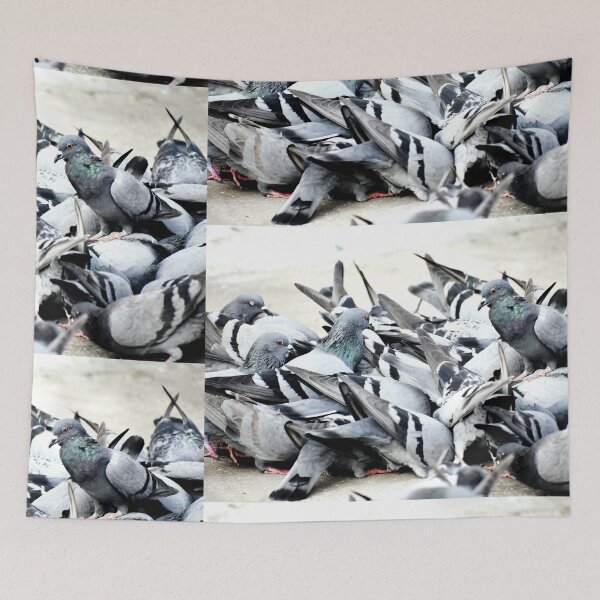Item preview, A Group of Pigeons designed and sold by Rav33822.