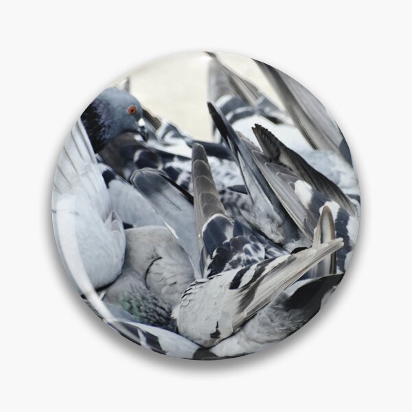 Item preview, A Group of Pigeons designed and sold by Rav33822.