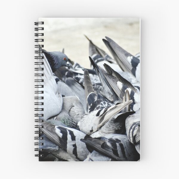 Item preview, A Group of Pigeons designed and sold by Rav33822.