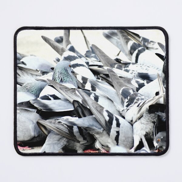 Item preview, A Group of Pigeons designed and sold by Rav33822.
