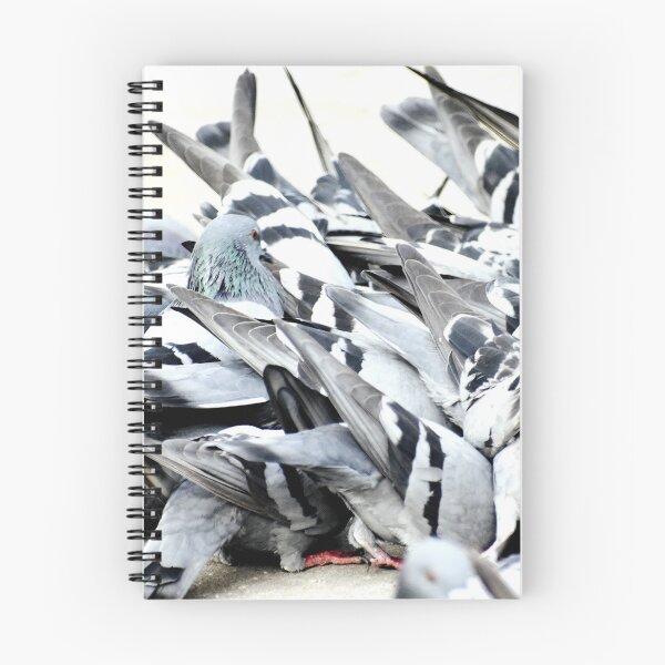 Item preview, A Group of Pigeons designed and sold by Rav33822.