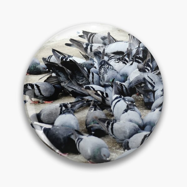Item preview, A Group of Pigeons designed and sold by Rav33822.