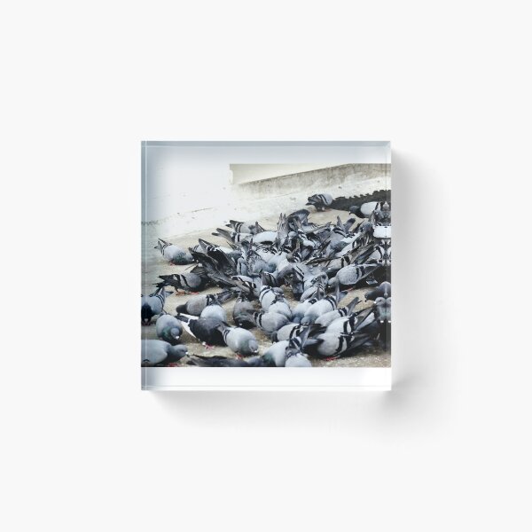 Item preview, A Group of Pigeons designed and sold by Rav33822.