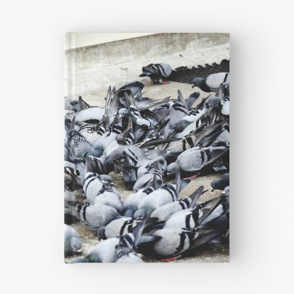 Item preview, A Group of Pigeons designed and sold by Rav33822.