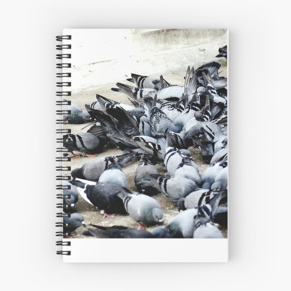 Item preview, A Group of Pigeons designed and sold by Rav33822.