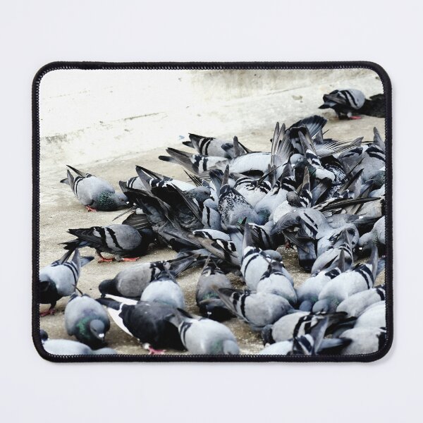 Item preview, A Group of Pigeons designed and sold by Rav33822.
