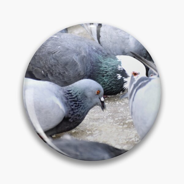 Item preview, A Group of Pigeons designed and sold by Rav33822.