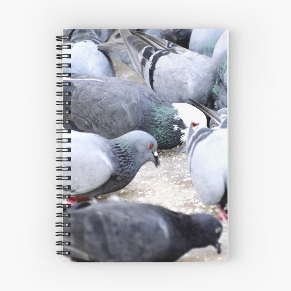 Item preview, A Group of Pigeons designed and sold by Rav33822.