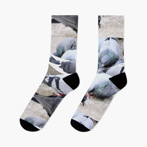 Item preview, A Group of Pigeons designed and sold by Rav33822.