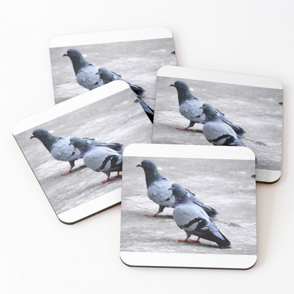 Item preview, A Group of Pigeons designed and sold by Rav33822.