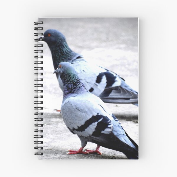 Item preview, A Group of Pigeons designed and sold by Rav33822.