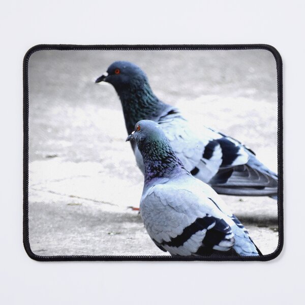 Item preview, A Group of Pigeons designed and sold by Rav33822.