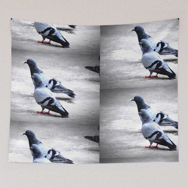 Item preview, A Group of Pigeons designed and sold by Rav33822.