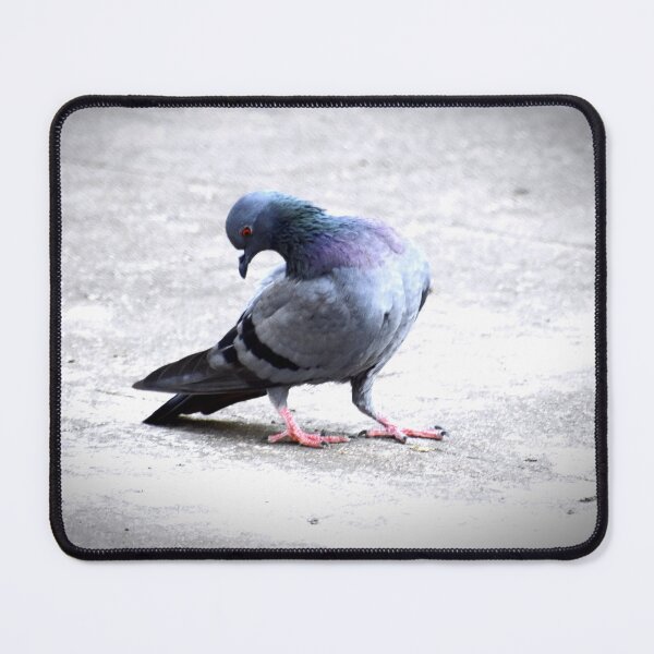 Item preview, A Group of Pigeons designed and sold by Rav33822.