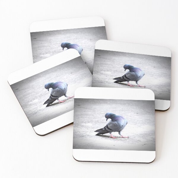 Item preview, A Group of Pigeons designed and sold by Rav33822.