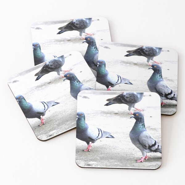 Item preview, A Group of Pigeons designed and sold by Rav33822.