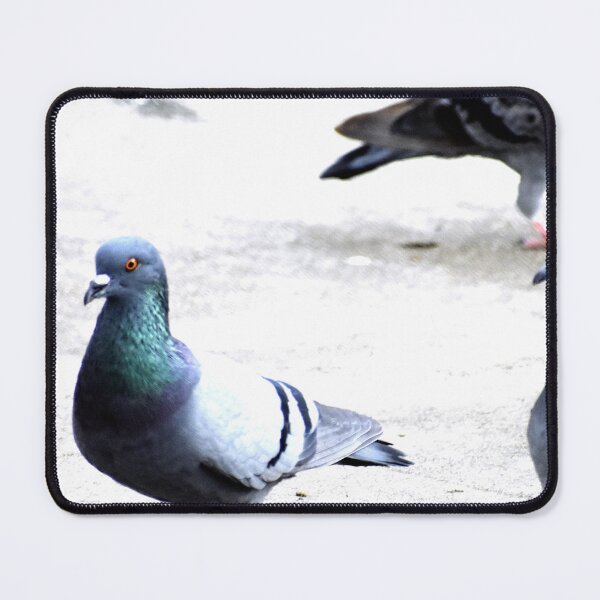 Item preview, A Group of Pigeons designed and sold by Rav33822.