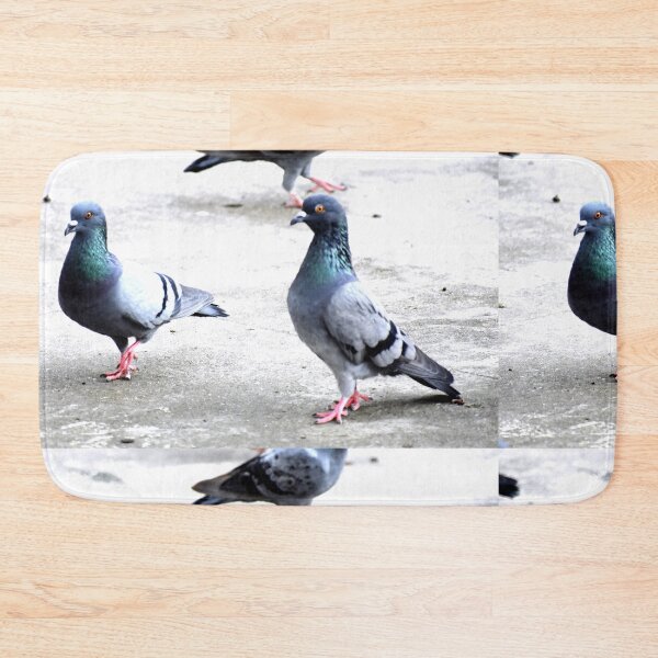 Item preview, A Group of Pigeons designed and sold by Rav33822.