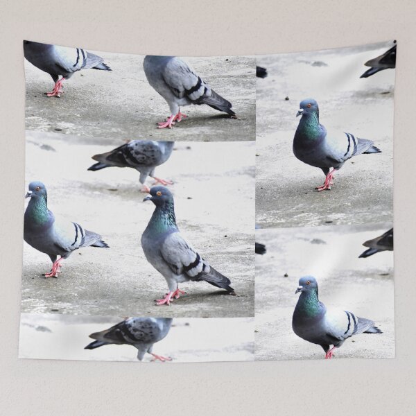 Item preview, A Group of Pigeons designed and sold by Rav33822.