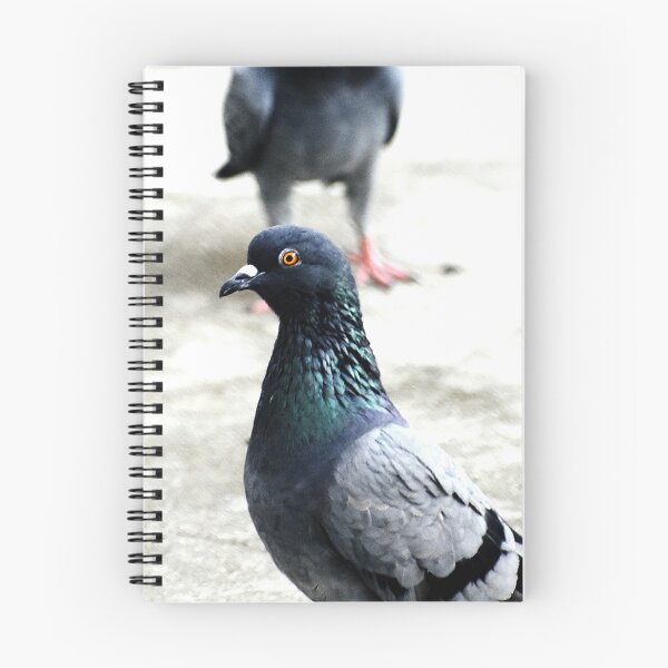Item preview, A Group of Pigeons designed and sold by Rav33822.