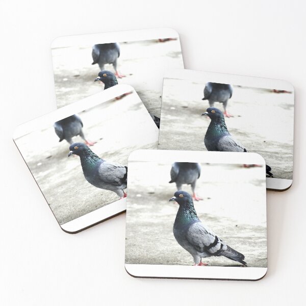 Item preview, A Group of Pigeons designed and sold by Rav33822.