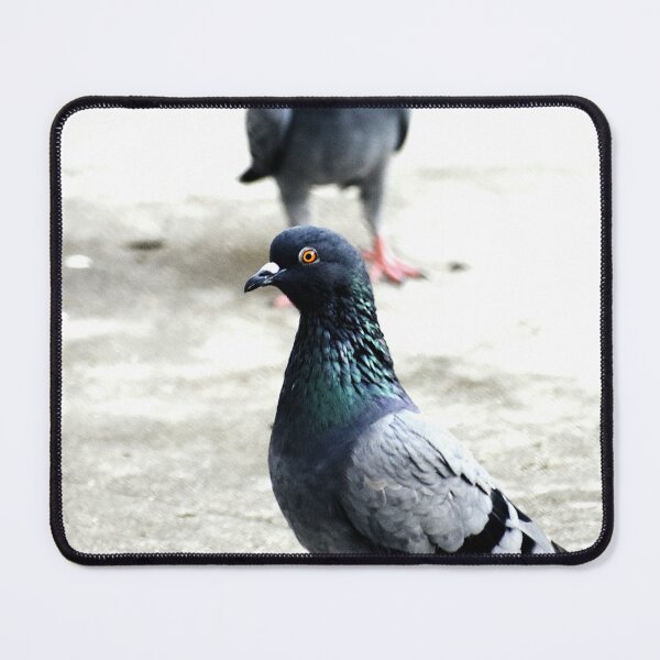 Item preview, A Group of Pigeons designed and sold by Rav33822.