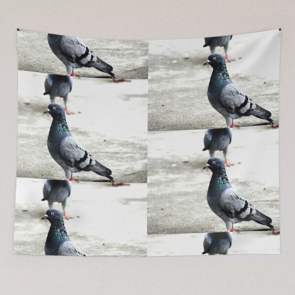 Item preview, A Group of Pigeons designed and sold by Rav33822.