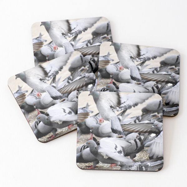 Item preview, A Group of Pigeons designed and sold by Rav33822.