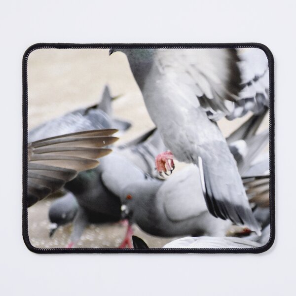 Item preview, A Group of Pigeons designed and sold by Rav33822.