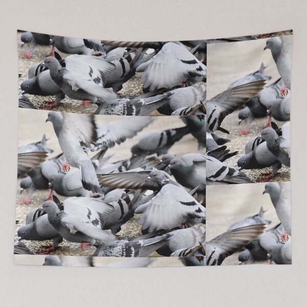 Item preview, A Group of Pigeons designed and sold by Rav33822.