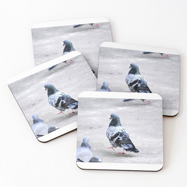 Item preview,  A Group of Pigeons designed and sold by Rav33822.