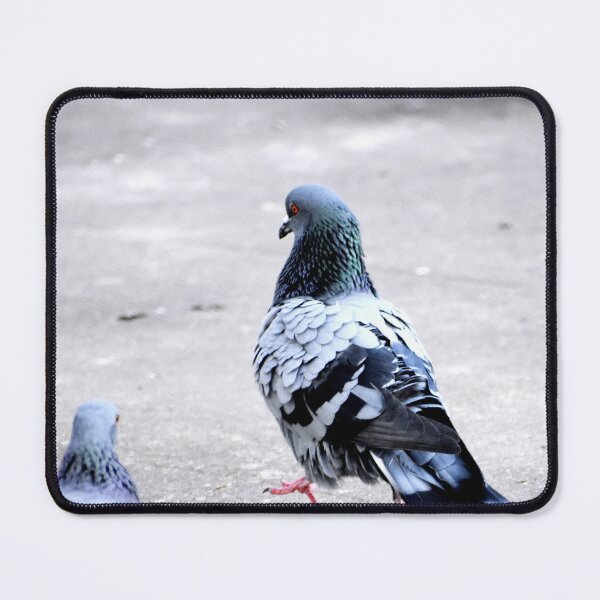 Item preview,  A Group of Pigeons designed and sold by Rav33822.