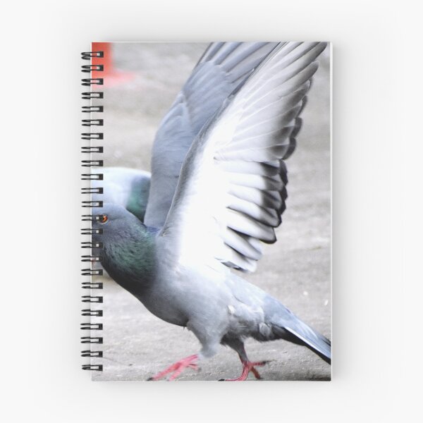 Item preview, A Group of Pigeons designed and sold by Rav33822.