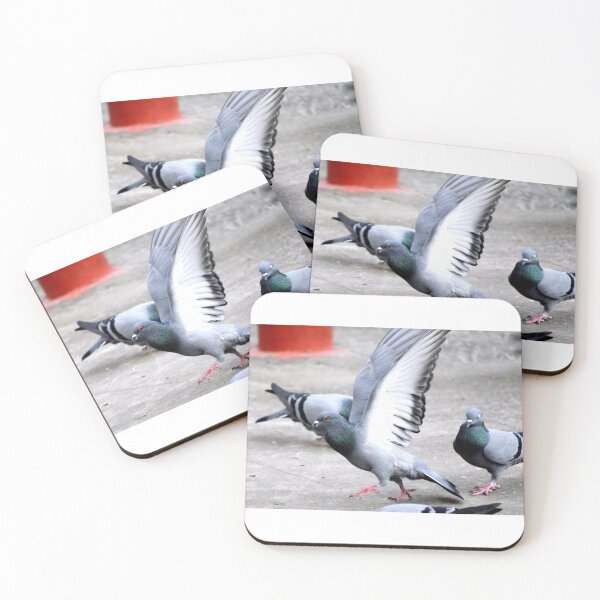 Item preview, A Group of Pigeons designed and sold by Rav33822.