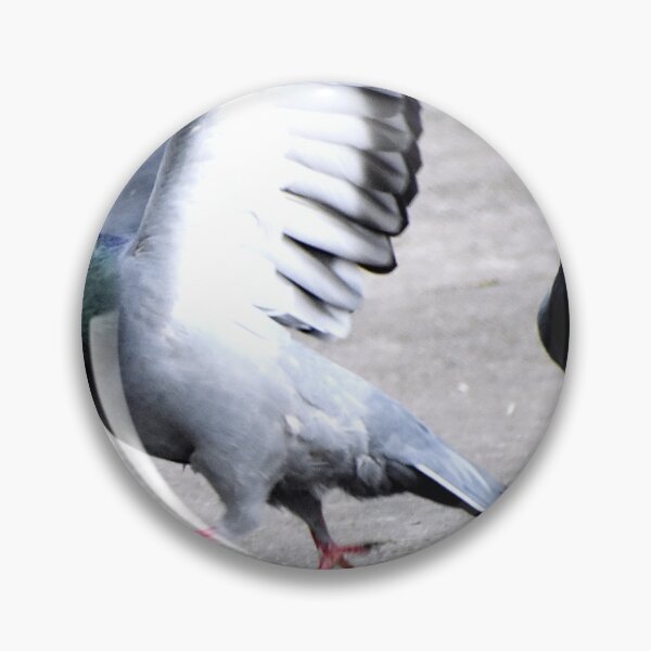 Item preview, A Group of Pigeons designed and sold by Rav33822.