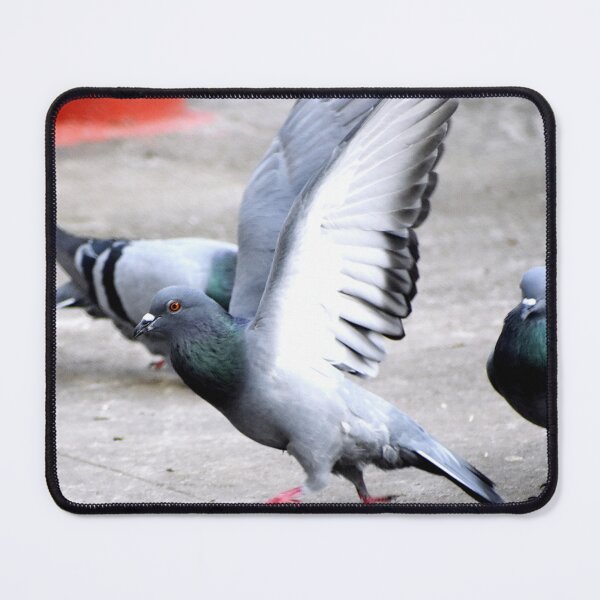 Item preview, A Group of Pigeons designed and sold by Rav33822.