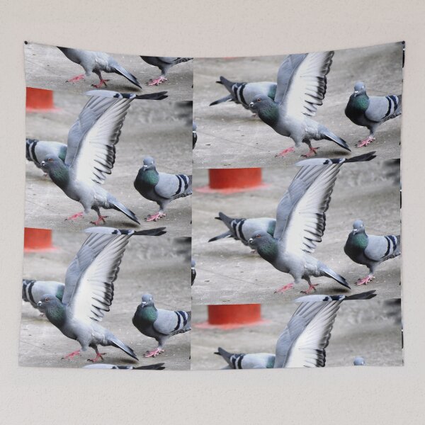 Item preview, A Group of Pigeons designed and sold by Rav33822.