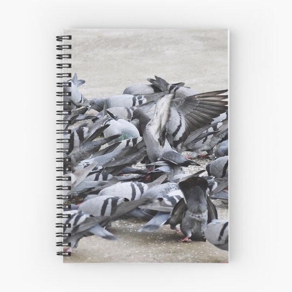 Item preview, A Group of Pigeons designed and sold by Rav33822.
