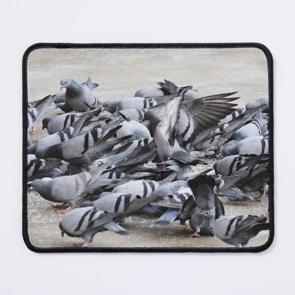 Item preview, A Group of Pigeons designed and sold by Rav33822.