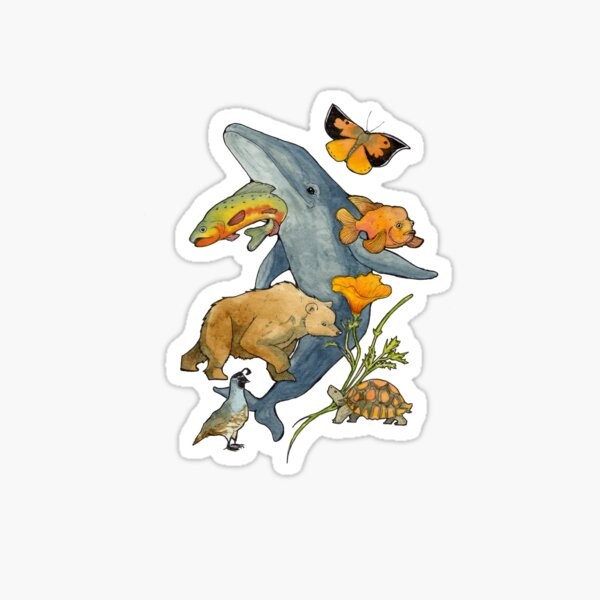 California Sticker