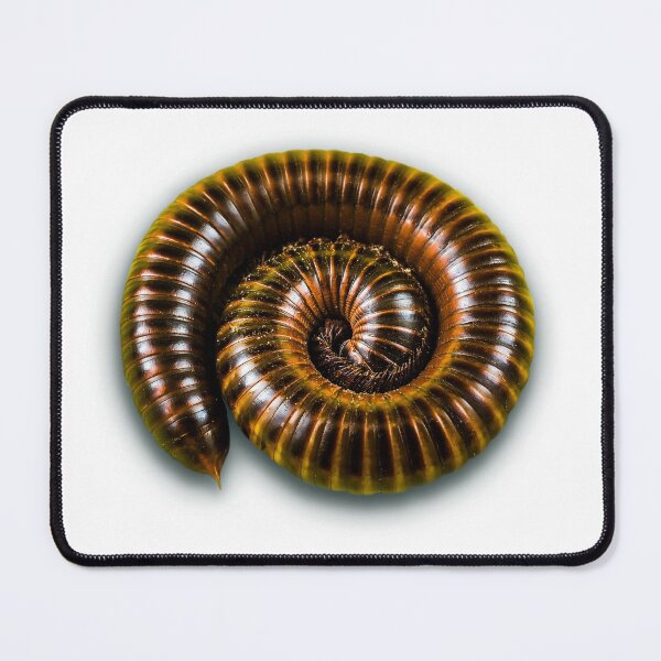 Item preview, Jungle - Nature designed and sold by myStudioVisual.