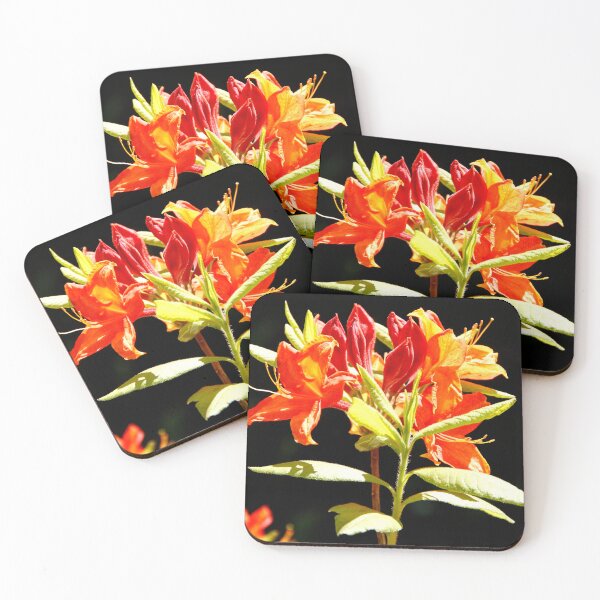 Item preview, Flowers Positano designed and sold by Daniel  Dayan.