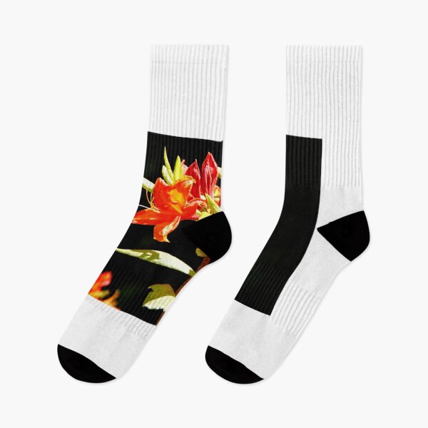 Item preview, Flowers Positano designed and sold by Daniel  Dayan.