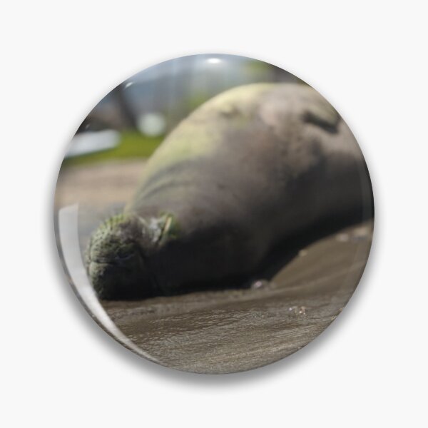 Item preview, Monk seal naps designed and sold by Mauisbestart.