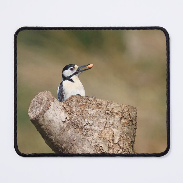 Item preview, Woodpecker caching peanuts designed and sold by GreyFeatherPhot.