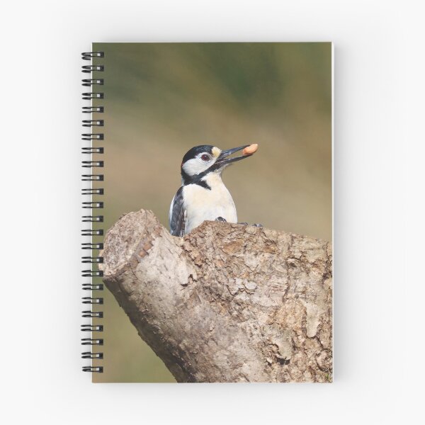 Item preview, Woodpecker caching peanuts designed and sold by GreyFeatherPhot.