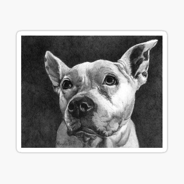 PURDY GIRL/ Pit Bull Terrier Sticker
