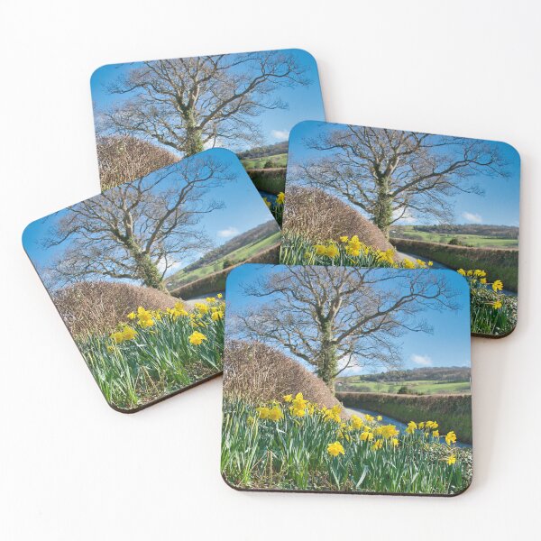 Item preview, Daffodils designed and sold by TheoPhotoraphy.